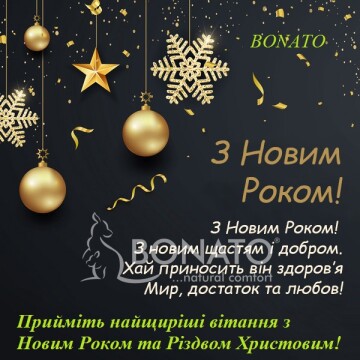 З Новим Роком та Різдвом Христовим!